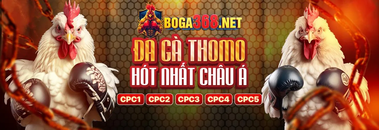 Đá gà trực tuyến Kèo Bóng Đá 88